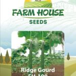 RIDGE GOURD FH 100
