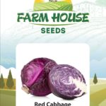 Red Cabbage FH-176