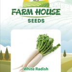 White Radish FH-250