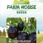 Brinjal Black Ball FH-28