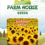 SUNFLOWER FH-510