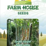 Snake Gourd Super Long FH-62