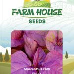 Amaranthus Pink FH-71
