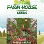 BHINDI RED ELEPHANT TUSK FH-85