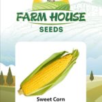SWEET CORN FH-900