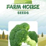 BROCCOLI FH-425