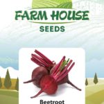 BEETROOT FH230