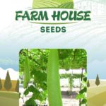 BOTTLE GOURD FH90