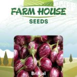 BRINJAL FH 23