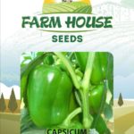 CAPSICUM FH-41