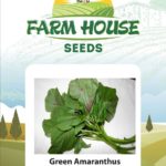 Amranthus Green FH-72
