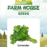 CORIANDER FH120