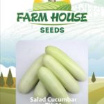 SALAD CUCUMBER FH-50