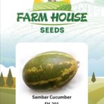 SAMBAR CUCUMBER FH-201