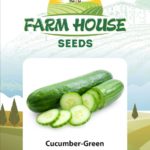 SALAD CUCUMBER FH-51
