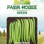 CLUSTER BEANS FH-140