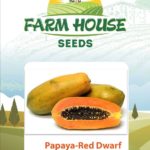 PAPAYA RED LADY DWARF FH-50