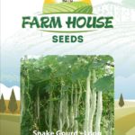 SNAKE GOURD FH-61