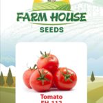 TOMATO FH-112