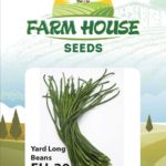 YARD LONG BEANS FH-30