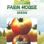 TOMATO FH-110