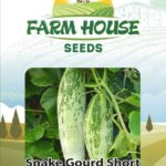 SNAKE GOURD SHORT FH-60