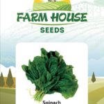 SPINACH FH-150