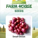 SMALL ONION FH-410