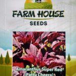 Amaranthes Super Red FH-32