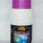 BORCAL-N