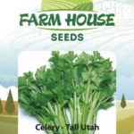 CELERY TALL UTAH FH-560