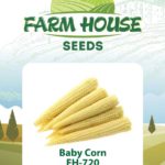 BABY CORN FH-720