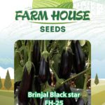 Brinjal Black Star FH 25
