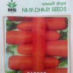 Namdhari Carrot
