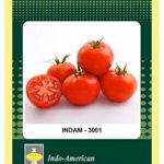 Indo American INDAM-3001