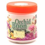 ORCHID BOON FOR FLOWERING PLANTS