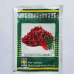 Indo American CHILLI INDAM -5