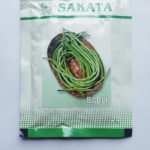 SAKATA BABLI
