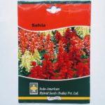 Indo American Salvia