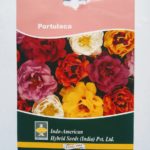 Indo American Portulaca