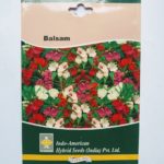 Indo Amarican Balsam